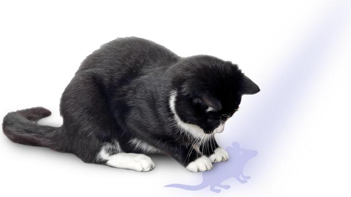 Productafbeelding Karlie Wijzer met muismotief (Kattenspeeltje)