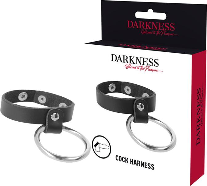 Actual product image Darkness Metal Ring For The Penis And Testicles