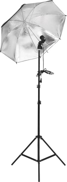 Produktbild vidaXL Fotostudio-Kit (300 cm, 210 cm)