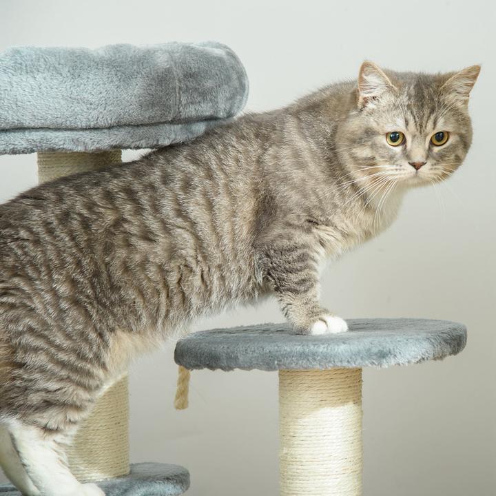 Actual product image PawHut Climbing tree for cats (65 cm, Grey)