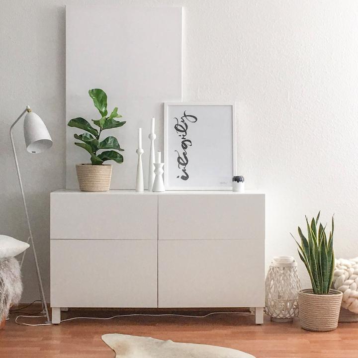 Actual product image Flowerbox Curved hemp - Sansevieria trifasciata Laurentii (35 cm)