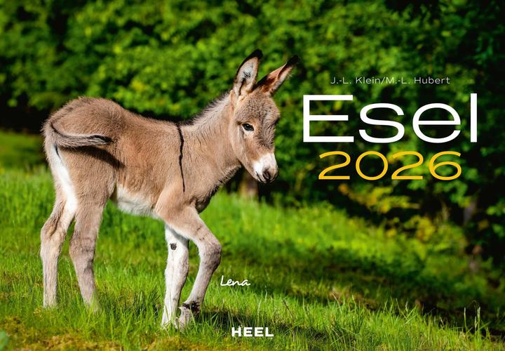 Produktbild Esel Kalender 2026 (47,5 x 33 cm)