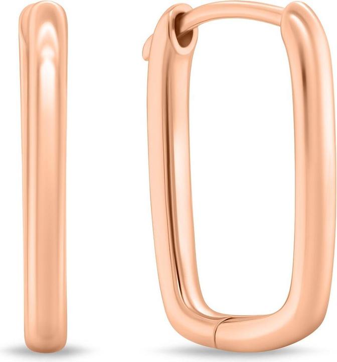 Image du produit Brilio Silver - Boucles d'oreilles élégantes en bronze EA764R