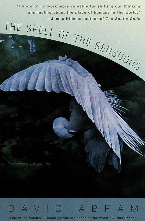 Produktbild The Spell of the Sensuous (Englisch, David Abram, 1997)