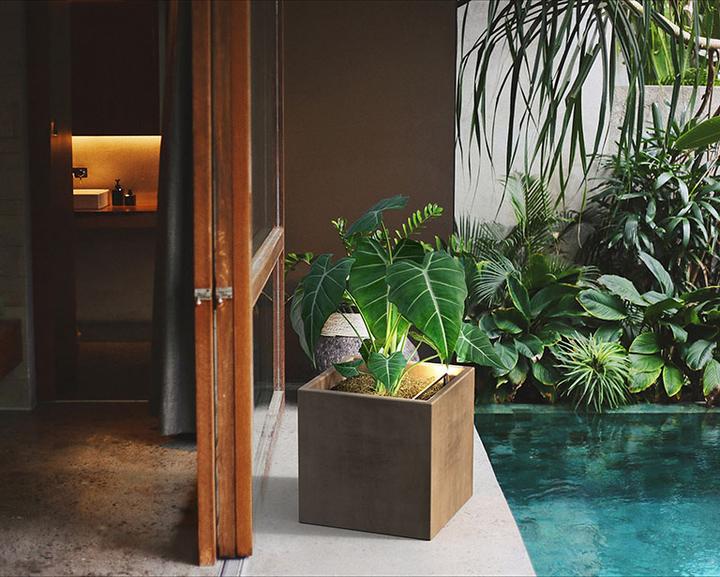 Immagine prodotto Herstera Neon Led Stick (LED)