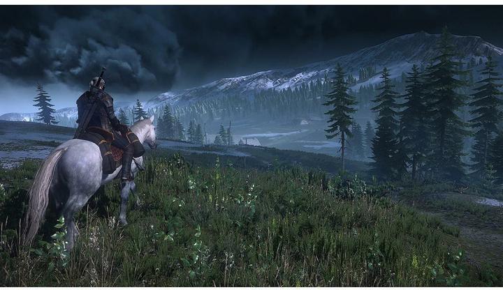 Immagine prodotto Bandai Namco The Witcher 3: Wild Hunt (Switch, DE)
