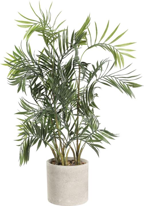 Plantes artificielles