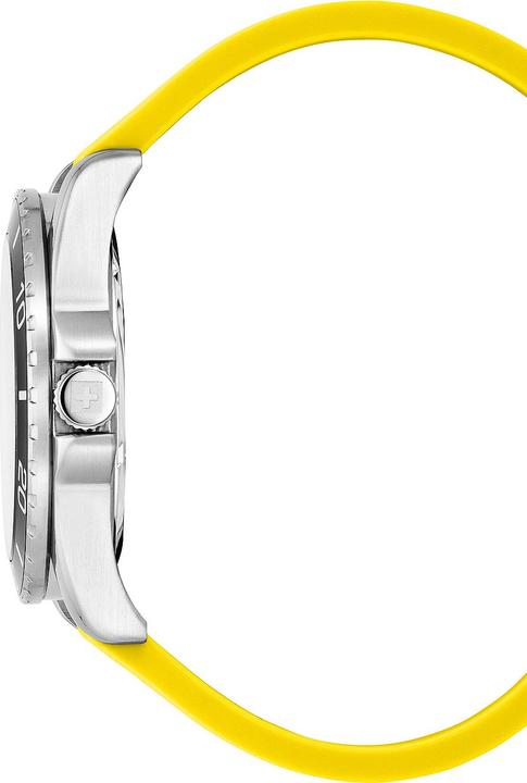 Produktbild Swiss Alpine Military 7029.1838 Raptor Herrenuhr 42mm 10ATM (Sportuhr, 42 mm)