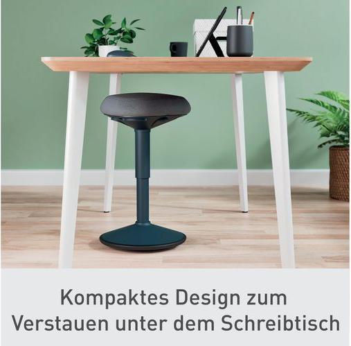 Produktbild Leitz Ergo Active