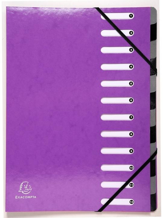 Immagine prodotto Exacompta Ordnungsmappe (1x)