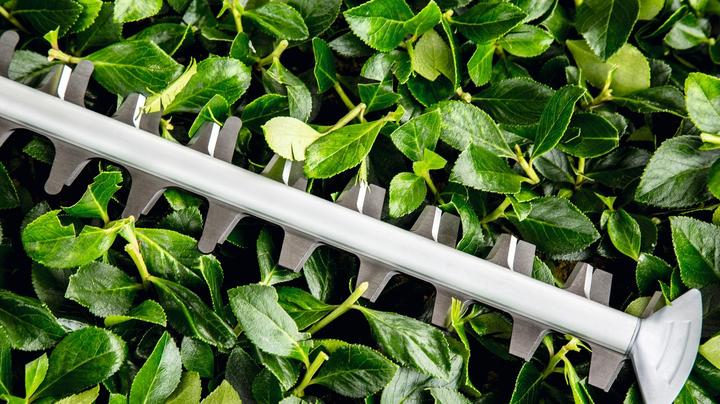 Productafbeelding Bosch Home & Garden UniversalHedgeCut 50 elektrische heggenschaar (Elektrische stroom)