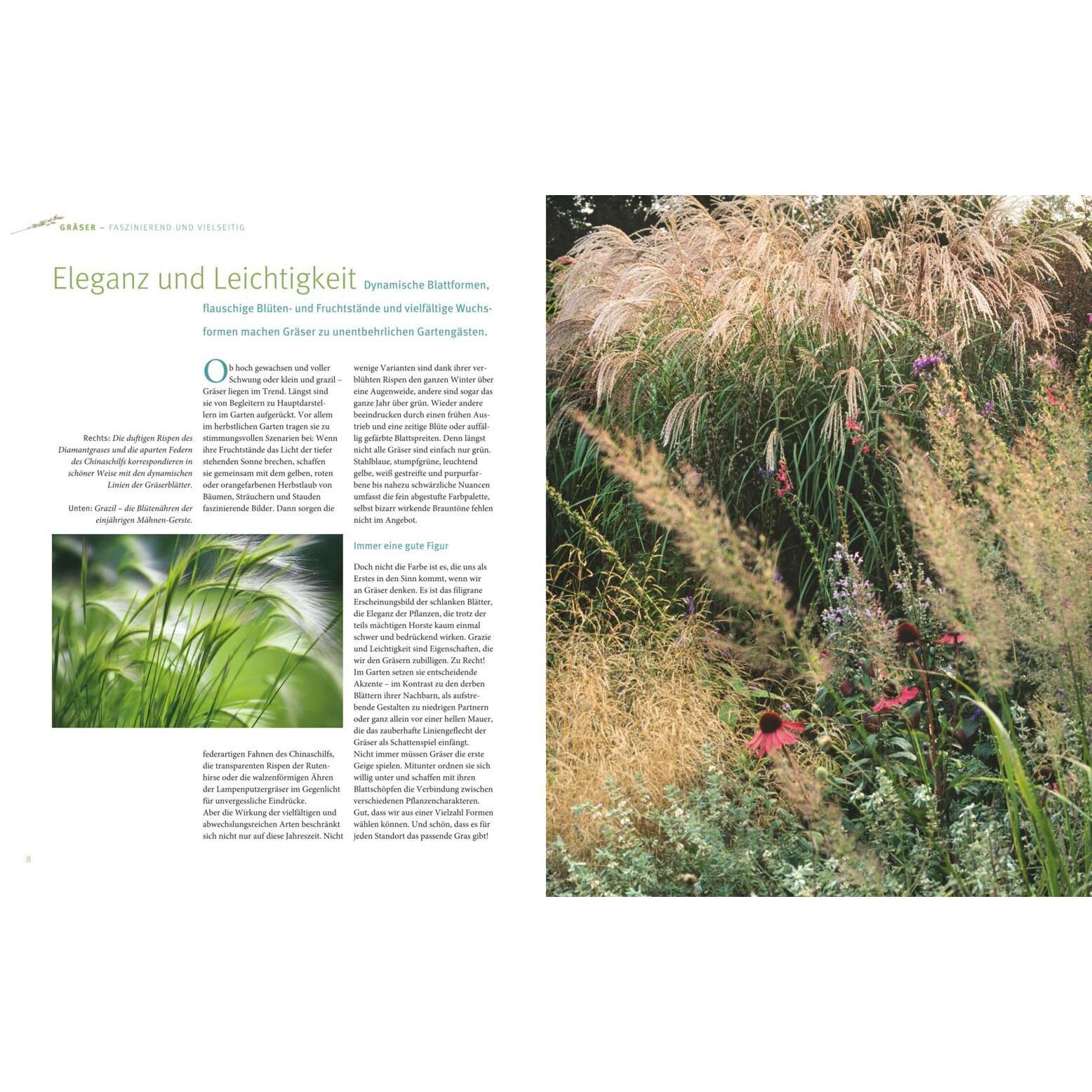 Thumbnail - Mit Gräsern gestalten, Ratgeber von Bernd Hertle