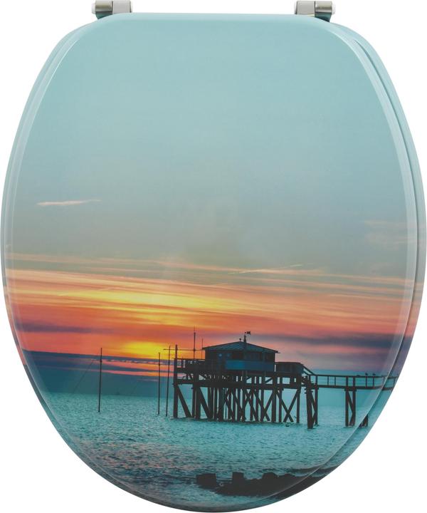 Produktbild MSV leon