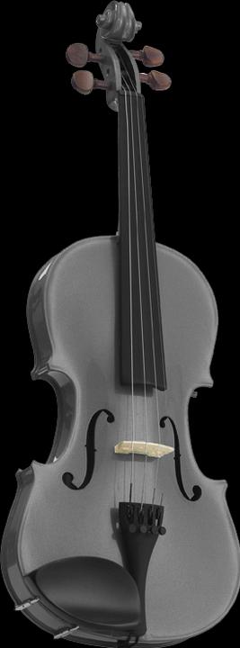 Stentor harlequin (Fiddle, 3/4)