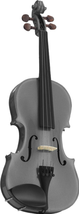 Stentor harlequin (Fiddle, 3/4)