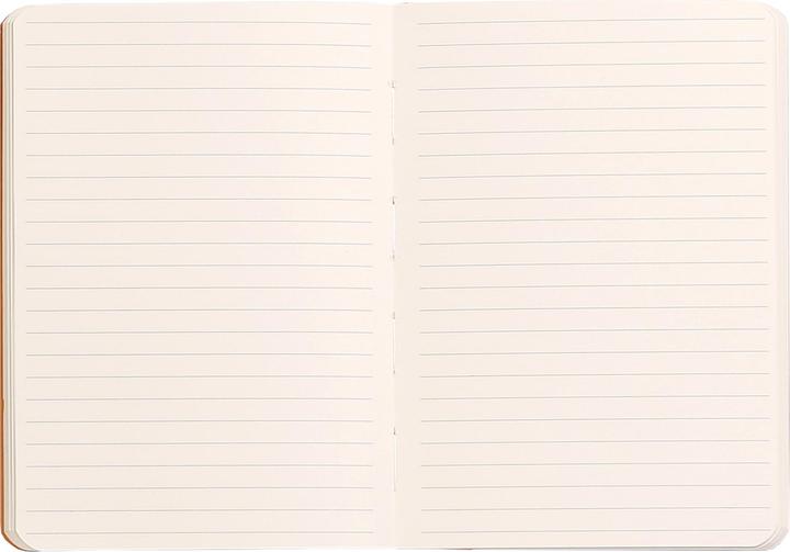 Image du produit Rhodia Carnets et cahiers Rhodiarama (A6, À rayures, Couverture rigide)