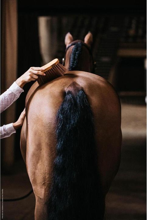 Produktbild Grooming Deluxe Middle Brush medium