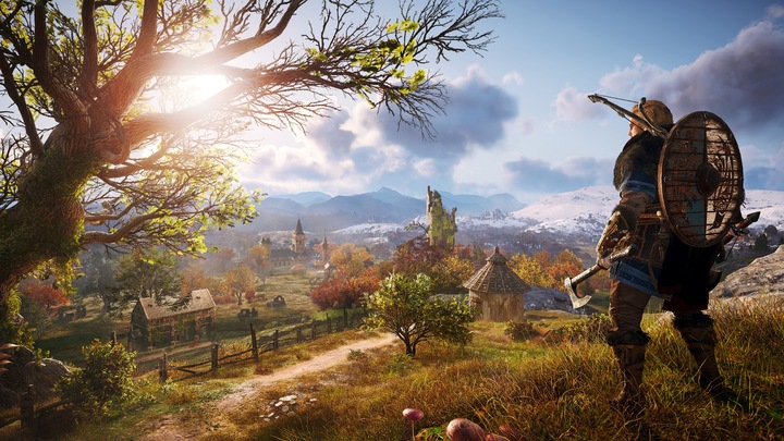 Actual product image Ubisoft Assassin's Creed Valhalla (PS4, Multilingual)