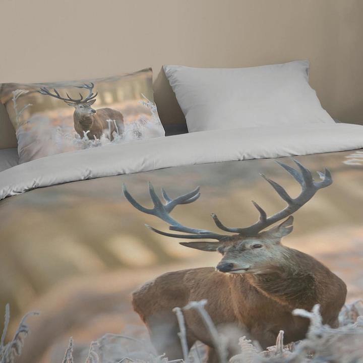Produktbild Traumschlaf Hirsch (Bettwäsche Set, 135x200 cm + 80x80 cm)