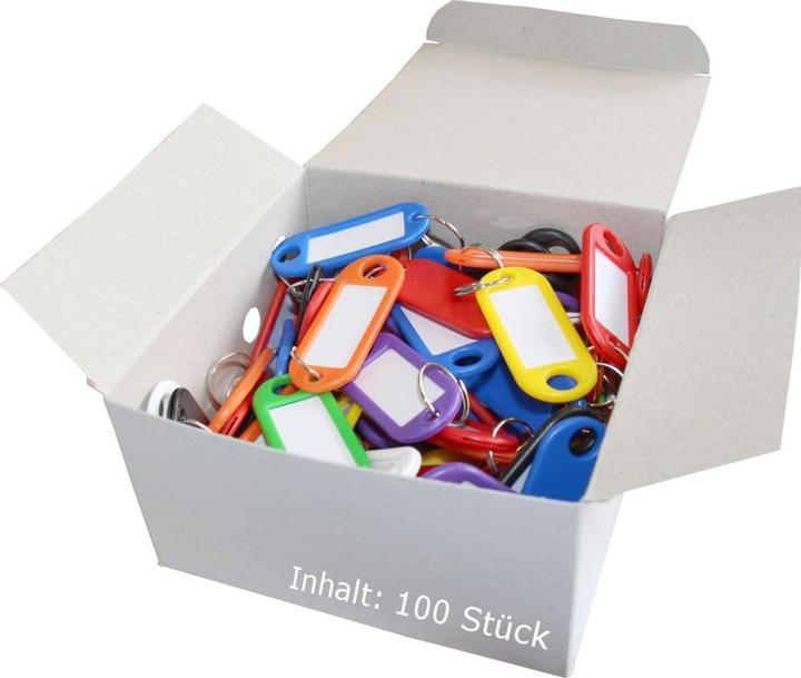 Actual product image Wedo Keyring pendant with ring