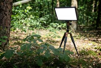 Actual product image Newell Air 650i (Surface luminaire)