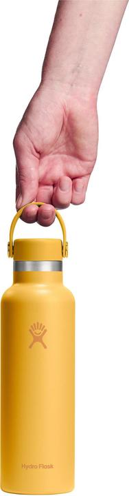 Produktbild Hydro Flask Standard Mouth with Standard Flex Cap (0.62 l)