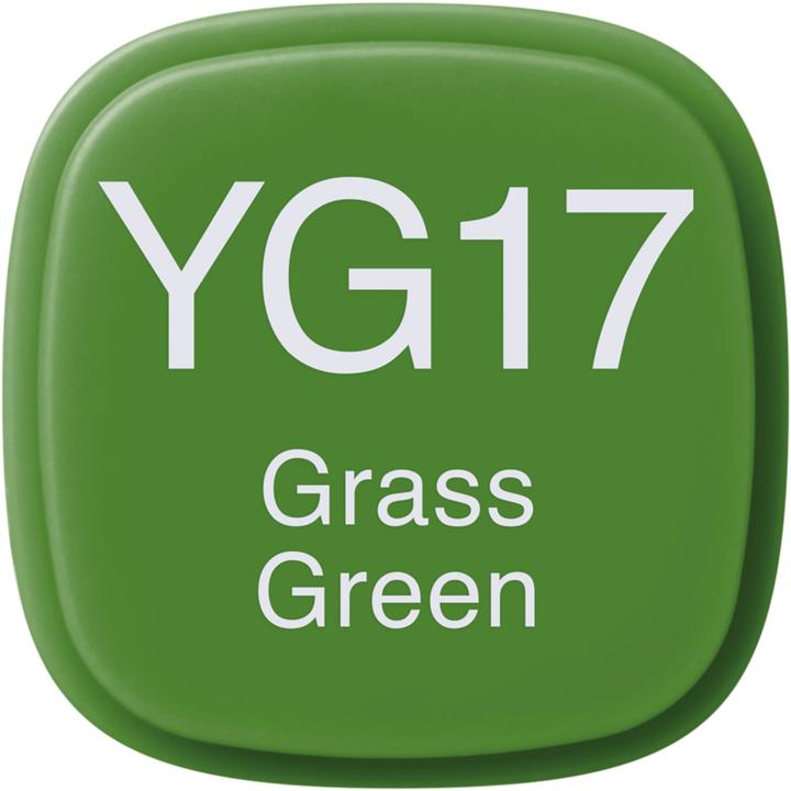 Actual product image Copic Graphic marker Classic type YG - 17 (1x)