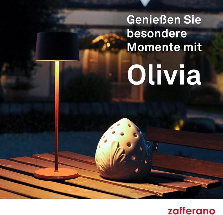Image du produit Zafferano Olivia (150 lm)