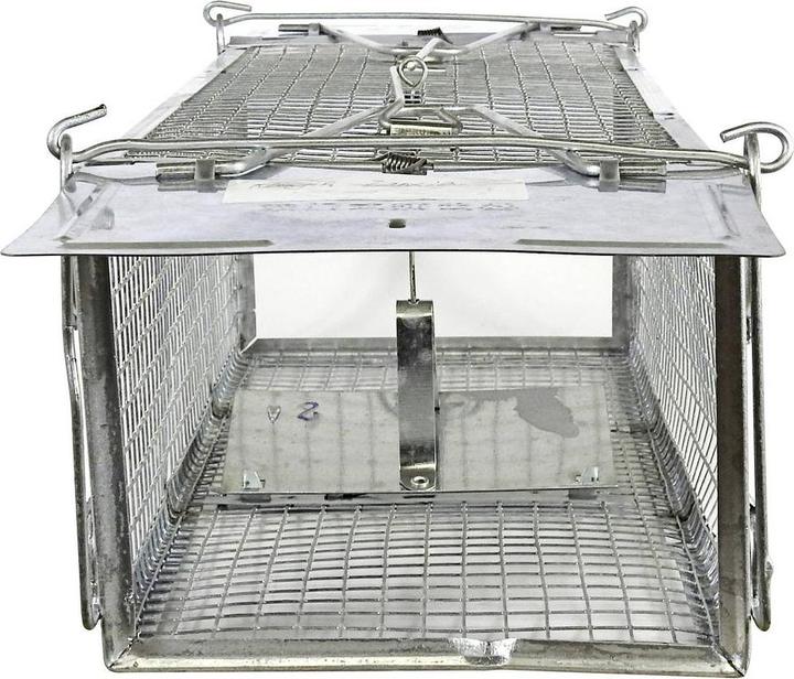 Produktbild Swissinno Pro Classic