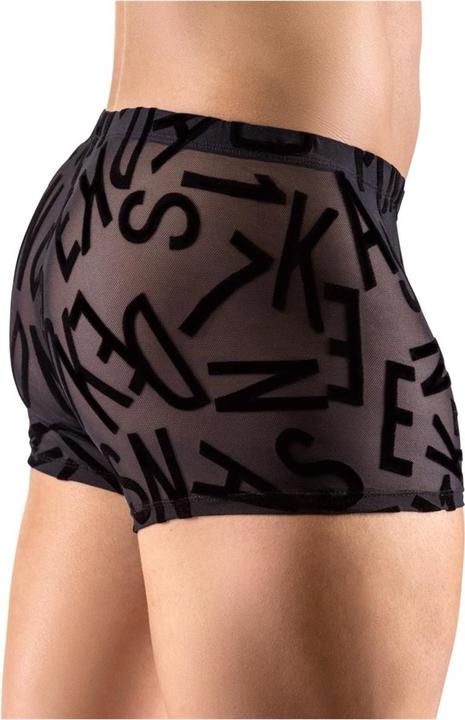 Actual product image Svenjoyment Men's Pants L (L)