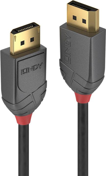 Produktbild Lindy DisplayPort — DisplayPort (0.50 m, DisplayPort)