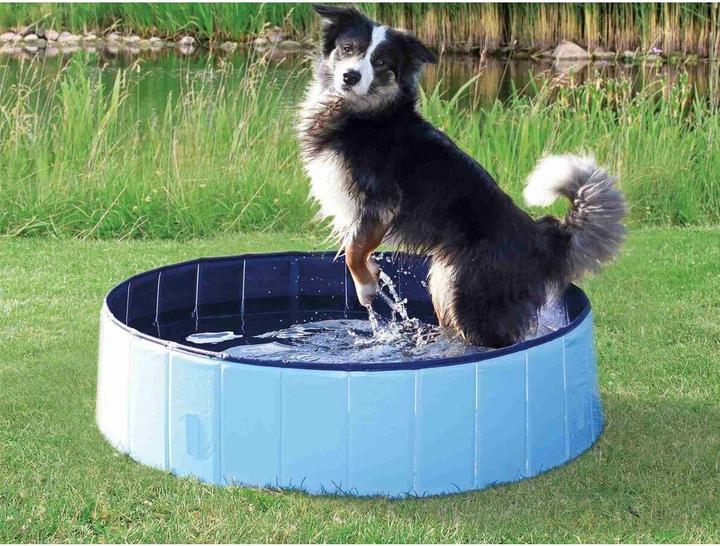 Produktbild Trixie Hundepool (Hundepool)