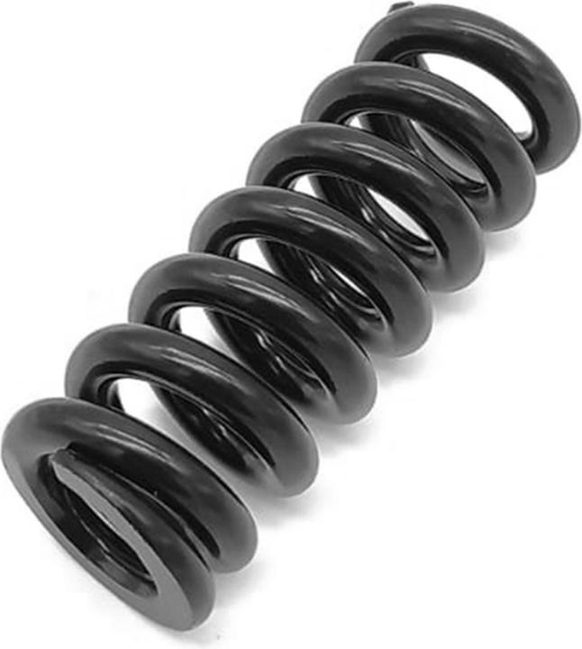 Actual product image Avizar Replacement spring for front and rear suspension