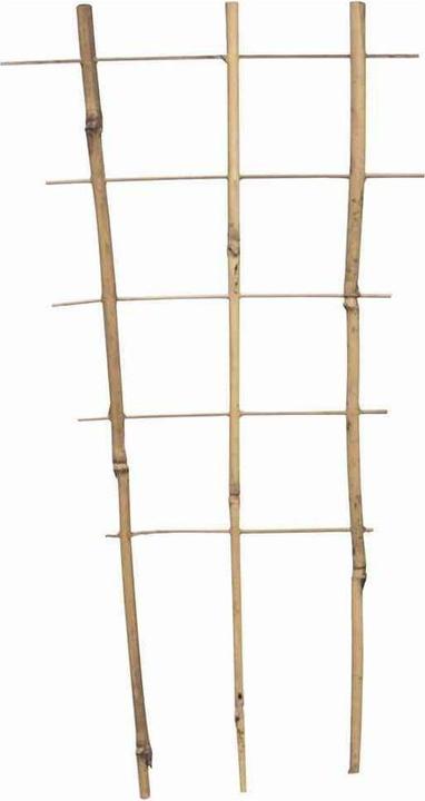 Immagine prodotto Siena Garden Porta piante (30 cm, 17 cm)