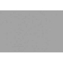 Wittmax Pale Grey 22ml (Pale Grey, 22 ml) (BCA012)