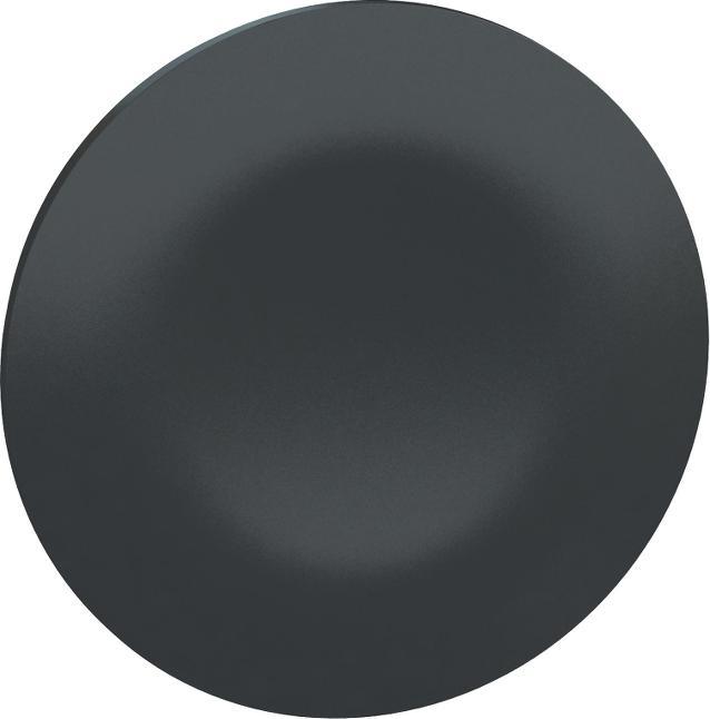 Actual product image Schneider Electric Black protective cap for rectangular ZBA72