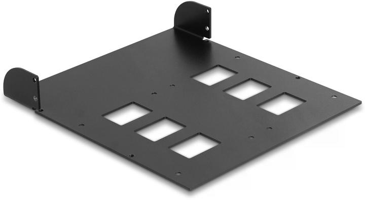 Image du produit Delock 5.25? Cadre de montage métallique pour 2 x cadres amovibles 47011 / 47005