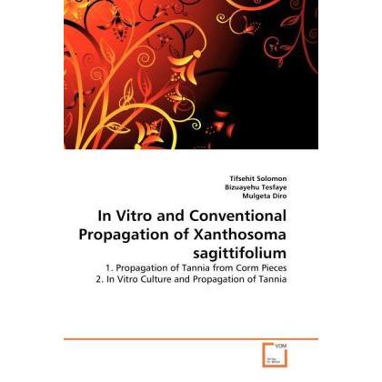 IN VITRO AND CONVENTIONAL PROPAGATION OF Xanthosoma sagittifolium, Fachbücher von Bizuayehu Tesfaye, Mulgeta Diro, Tifse...