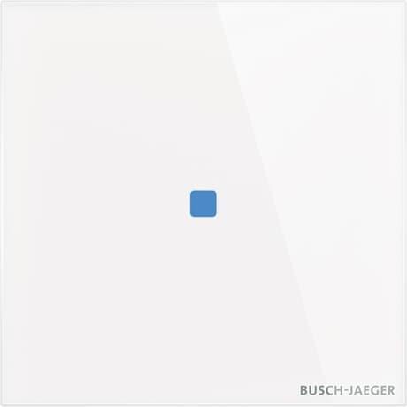 Immagine prodotto Busch-Jaeger TB/U1.1.11-CG