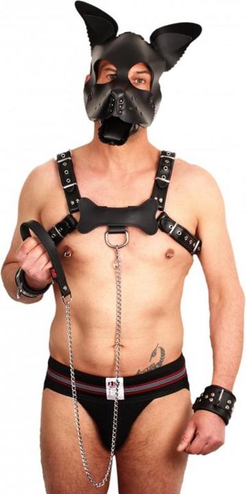 Immagine prodotto The Red Leine mit Ledergriff