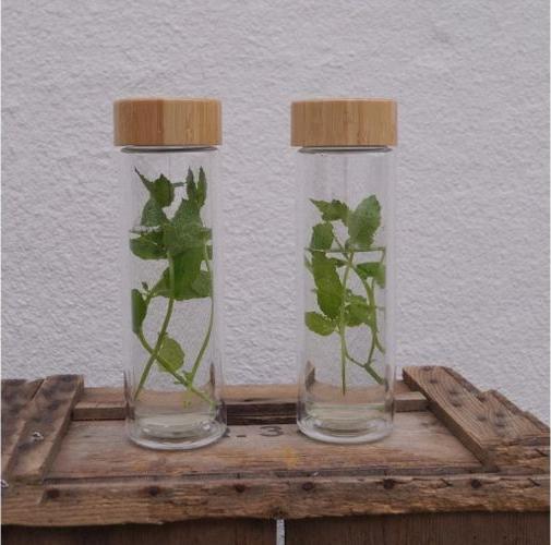 Actual product image Yummii Yummii Thermos bottle with teapot (0.40 l)