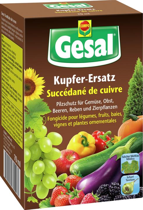Gesal Kupfer-Ersatz (Ruggine)