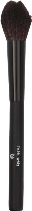 Immagine prodotto Dr. Hauschka Pennello per fard (Fard)