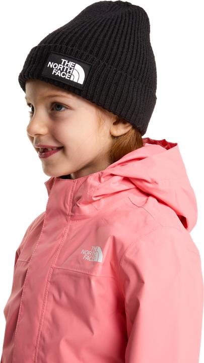 Image du produit North Face Logo Box Cuffed (Taille unique)