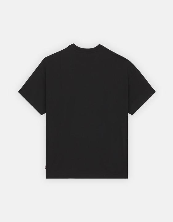 Produktbild The Dickies Summerdale Ss Tee Black (S)