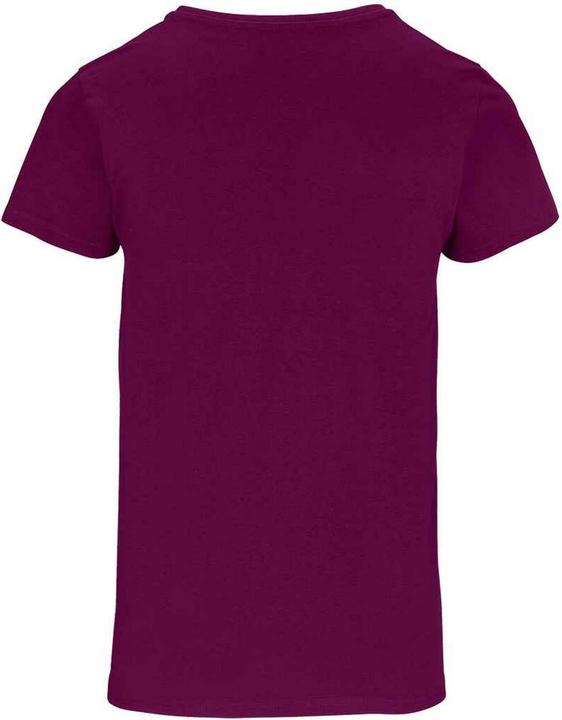 Actual product image Sols Womens/Ladies Crusader Organic T-Shirt (XL)