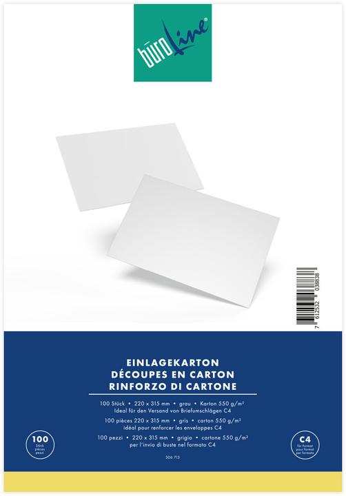 Produktbild BüroLine Einlagekartons (100 Stk.)
