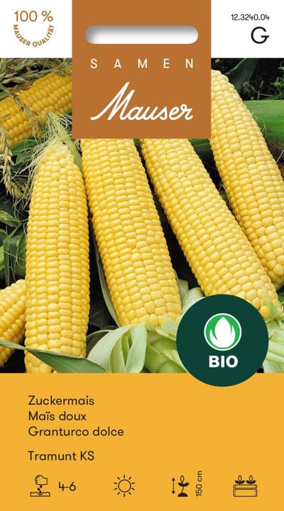 Produktbild Samen Mauser Zuckermais Tramunt KS (Gemüsesamen)