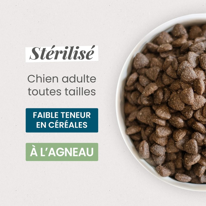 Actual product image Ultra Premium Direct Overweighted / Sterilised Dog all Breeds (Adult, 12000 g)