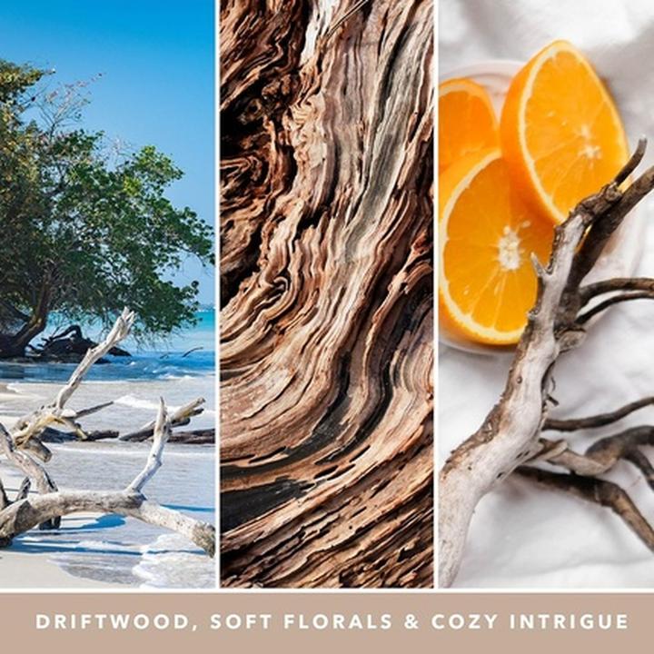 Image du produit Yankee Candle Seaside Woods (411 g)